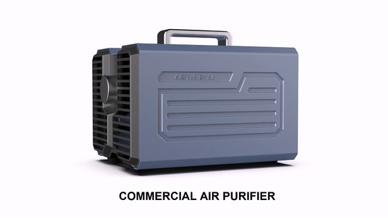 Purificatore veloce Professinal 227x172x176 millimetro dell'aria del generatore dell'ozono di purificazione