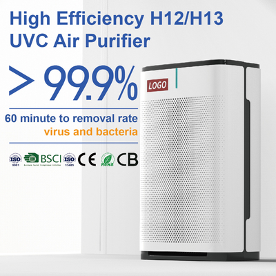 Purificatore domestico dell'aria per i virus ed i batteri