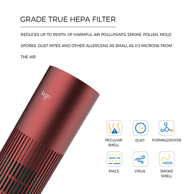 Tipo a comando a tocco alimentazione elettrica del purificatore domestico dell'aria del filtrante di H13 HEPA di C USB