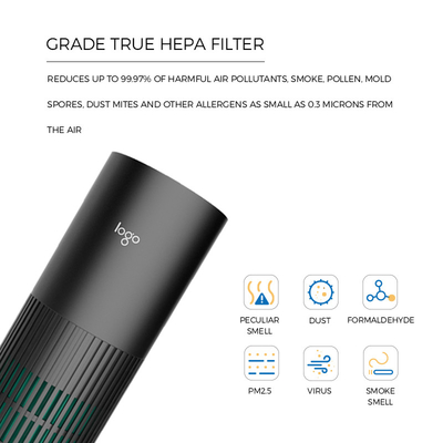 Rimuove il purificatore Ionizer che dell'aria dell'automobile PM2.5 10 milione ioni negativi uccide 99,9% virus