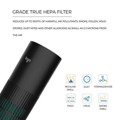 Rimuove il purificatore Ionizer che dell'aria dell'automobile PM2.5 10 milione ioni negativi uccide 99,9% virus